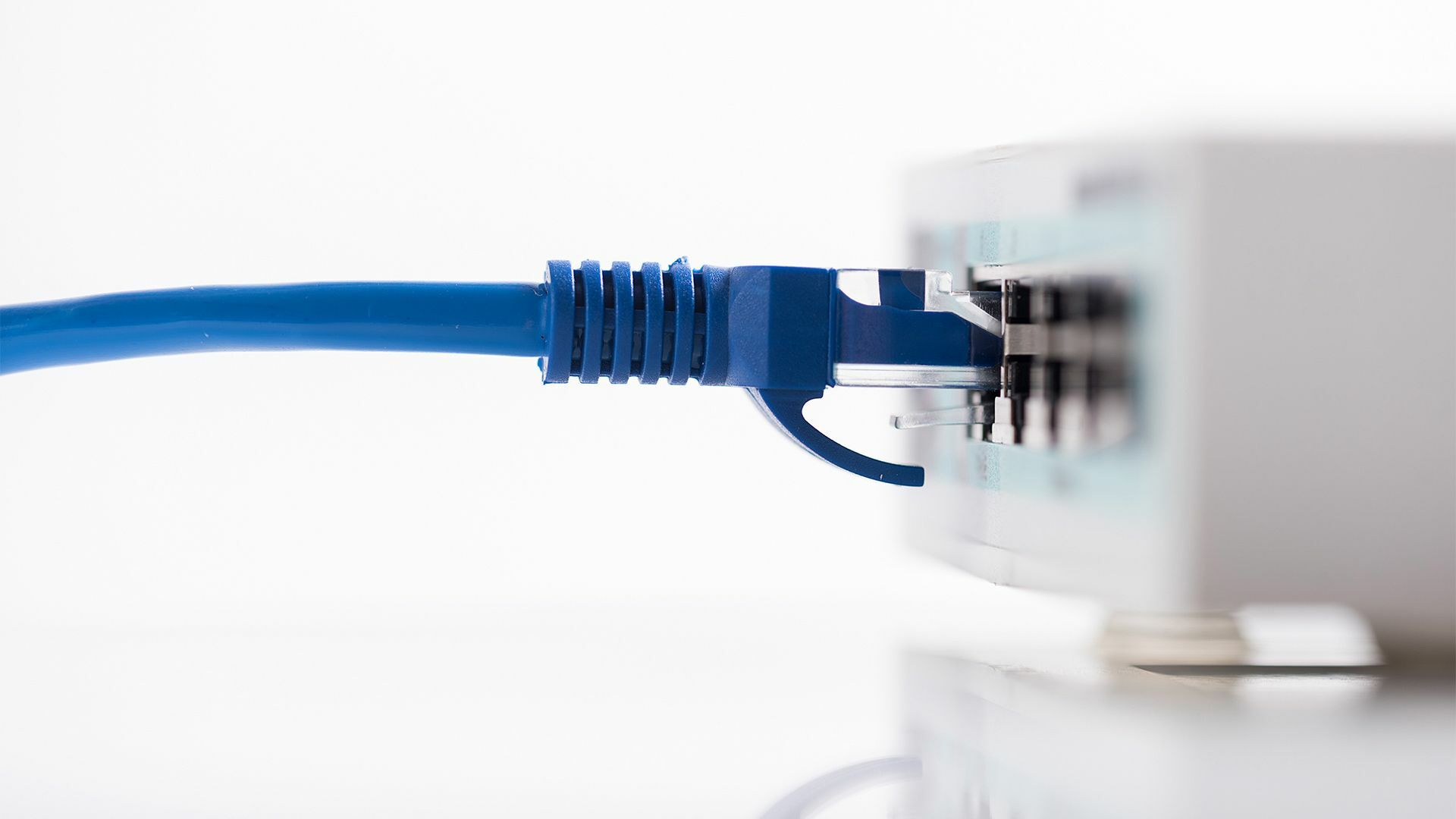 Ein Netzwerkkabel ist an einen Internet-Router angeschlossen